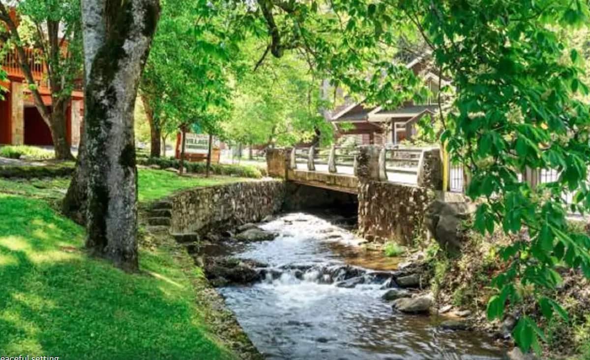 Basecamp Gatlinburg photo 2